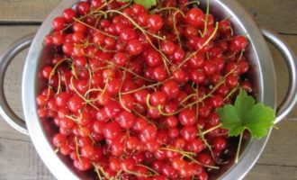 Come preparare la gelatina di ribes rosso senza cucinare per l'inverno usando una ricetta semplice? Raccogli il ribes, libera le bacche da ramoscelli e altri detriti.