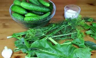 Com cuinar cogombres lleugerament salats amb all i anet? Hi ha un moment preparatori en l'escabetx de cogombres de qualsevol manera. Els cogombres s'han de rentar a fons i les fruites s'han de remull en aigua freda i neta durant almenys un parell d'hores. Pots fer-ho durant un dia, però segur que hauràs de canviar l'aigua cada poques hores. Rentar les fulles, pelar els alls i tallar cada gra per la meitat.