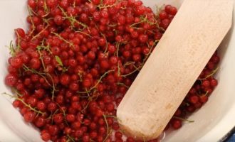 La gelatina di ribes rosso per l'inverno è molto facile da preparare. Ordina attentamente le bacche danneggiate, rimuovendo eventuali detriti. Non è necessario separare le bacche dai rami. Mettete il ribes in uno scolapasta e sciacquatelo bene sotto l'acqua corrente.