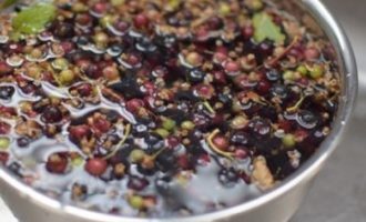 Come preparare la gelatina di ribes nero per l'inverno usando una ricetta semplice? Per prima cosa devi sistemare il ribes: rimuovere i gambi e le foglie, quindi sciacquare abbondantemente in acqua fredda. Il modo più conveniente per farlo è con uno scolapasta, soprattutto perché ne avremo bisogno anche quando il liquido in eccesso fuoriesce dalle bacche dopo il lavaggio.