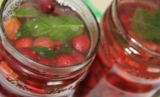 Den heißen Sirup mit den Stachelbeeren und der Minze zurück in die Gläser füllen.