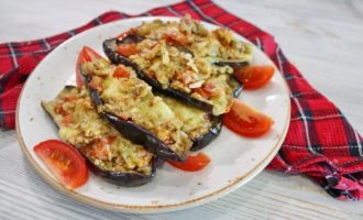 Eggplants with tomatoes and cheese, baked in the oven