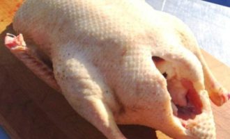 To bake a juicy goose in a sleeve in the oven, the carcass must be thoroughly washed and any remaining feathers removed. Next, the goose needs to be dried inside and out.