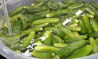 How to prepare crispy pickled cucumbers for the winter? Rinse the cucumbers thoroughly under cold running water and remove the ends on both sides with a knife. Place the prepared fruits in a bowl and cover with very cold, preferably ice water for 2 hours.