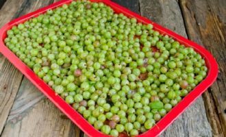 How to prepare a delicious gooseberry sauce for meat for the winter? The berries should be sorted, leaves, twigs and other debris should be removed.