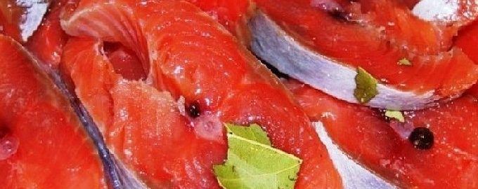 How to pickle pink salmon at home quickly and tasty