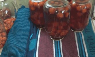 Sejukkan balang kolak plum yang disediakan mengikut resipi ini secara terbalik dan bungkusnya dalam selimut hangat sehingga ia sejuk sepenuhnya. Kompot akan sejuk sepenuhnya dalam kira-kira sehari, selepas itu anda perlu menyimpan bahan kerja di tempat yang sejuk dan gelap.