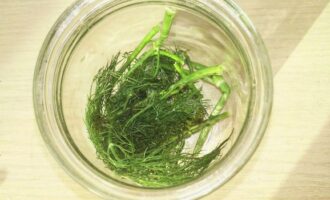 Wash the dill. Place a sprig of dill at the bottom of a dry, sterilized jar.