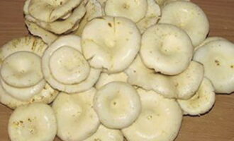 Paano mainit na atsara ang mga mushroom ng gatas sa mga garapon para sa taglamig? Una, ang mga mushroom ay kailangang malinis ng mga labi at banlawan nang lubusan sa ilalim ng tubig na tumatakbo.