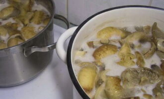 Vul de geweekte melkchampignons opnieuw met water, voeg het gehakte laurierblad toe, breng aan de kook en laat 30 minuten koken.