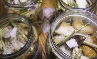 Carefully place the mushrooms into sterilized jars. Sprinkle the mushrooms evenly with salt, add the remaining spices and vinegar.