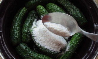 Cucumbers need to be filled with cold brine. To do this, heat 0.75 liters of water and dissolve salt in it. Combine the hot part with cold water, cool and pour over the cucumbers. Then add the remaining spices. Cucumbers should be infused at room temperature for ten hours, and then in the refrigerator for a day.