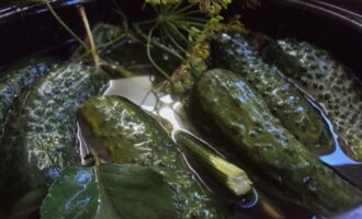 Ready-made lightly salted cucumbers can be served with any dish; cucumbers go especially well with potatoes and meat. Serve chilled and refrigerate the cucumbers to keep them crisp and firm.