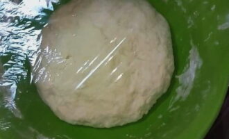 Place the dough in a bowl, cover it with cling film and leave in a warm place for about an hour.