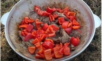 Doe vervolgens de grofgehakte gepelde paprika in de ketel en bak nog eens 10 minuten. Roer de groenten af ​​en toe tijdens het frituren.