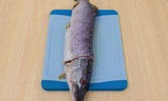 How to deliciously cook stuffed pike in the oven? Wash the fish and remove scales. Cut off the head and remove the gills.