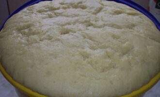 Knead the dough with a spatula until completely homogeneous and place in a warm place for one hour. Cover the product with a towel and wait for it to be completely ready. The rich yeast dough is ready for further use.