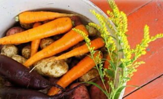 How to prepare a vinaigrette with sauerkraut according to a classic recipe? Wash the vegetables, put them in a saucepan and boil until tender.