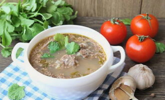 La ricca zuppa kharcho secondo la ricetta classica è pronta. Versate il piatto caldo nei piatti e servitelo in tavola!