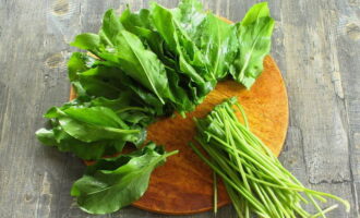 Rinse the sorrel thoroughly under water and let dry on a paper towel. Cut off the petioles.