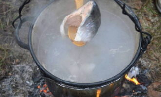 Coloca el caldero al fuego y hierve agua. Sumerge en él los trozos de trucha.