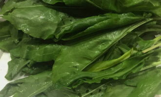 Leave the sorrel to dry in a colander if you washed it in one, or place it on a paper or kitchen towel.