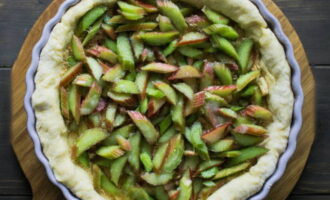 Spread the rhubarb on top of the crumbs in an even layer.