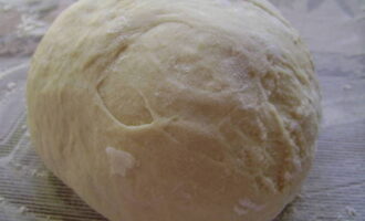 After 2 hours the dough should be fluffy and tall.