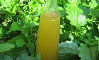 Phục vụ kvass đã hoàn thành trên bàn. Chúc ngon miệng!