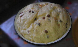 Wash the raisins with hot water, dry, roll in flour and add to the dough. Leave the dough in a warm place again for 30-60 minutes.