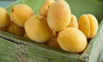 Paano gumawa ng makapal na apricot jam sa mga hiwa para sa taglamig? Ihanda ang prutas. Hugasan nang maigi ang mga aprikot upang walang dumi o alikabok na makapasok sa jam. Gupitin ang prutas sa kalahati o quarter at alisin ang mga buto. Ang mga kernel ay hindi kailangan sa recipe na ito.