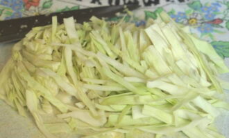 Chop the cabbage into thin strips and rub a little with your hands to reduce in volume.