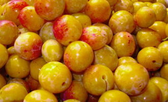 Bagaimana untuk menyediakan kolak plum kuning untuk musim sejuk dalam balang 3 liter? Susun plum, bilas dengan baik, keluarkan batangnya.