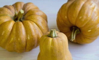 Come preparare la purea di zucca da leccarsi le dita per l'inverno a casa? Lavare la zucca, eliminare la buccia e i semi.