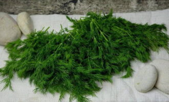 We thoroughly wash the dill sprigs and remove all dried twigs and specks.