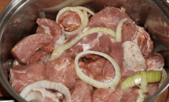 Sbucciare due cipolle e togliere la buccia. Tagliare le cipolle ad anelli spessi non più di un centimetro. Mettete i pezzi di kebab in un contenitore a parte, copriteli con uno strato di cipolla, sale e pepe, adagiate la foglia di alloro e versate l'aceto. Mescolare il contenuto del contenitore.