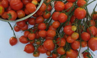 Bagaimana untuk menyediakan tomato goreng untuk musim sejuk? Mula-mula, kami menyusun dan mencuci tomato. Adalah dinasihatkan untuk menggunakan buah-buahan yang kuat dan kecil.