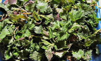 Wash the nettle thoroughly with cool water.