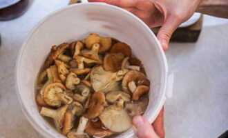 ¿Cómo salar volushki en casa para el invierno en frascos? Para empezar, clasificamos cuidadosamente los champiñones, eliminando los restos y los champiñones en mal estado. A continuación, los enjuagamos, los pasamos a un recipiente aparte y los llenamos con agua fría. Déjalo así durante al menos 12 horas, cambiando el agua cada 2 horas para quitar el amargor de las setas.