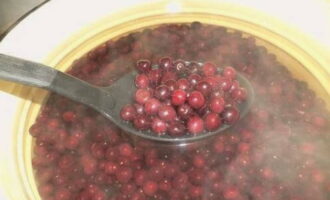 In einem zweiten Topf Wasser aufkochen, Vogelkirsche dazugeben und etwa 2-3 Minuten kochen lassen, dann in Zuckersirup umfüllen.