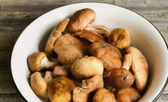 Come preparare il caviale di funghi bolliti per l'inverno? Selezionate i funghi freschi, puliteli dai detriti del bosco e sciacquateli bene sotto l'acqua corrente. È meglio immergere i funghi molto contaminati in acqua fredda per un paio d'ore prima.