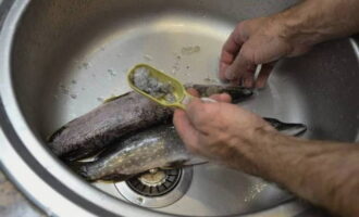 How to cook trout steak in the oven? We clean the fish from scales with a knife, cut off unnecessary parts - fins and head. We make an incision along the belly of the trout and remove the entrails. Wash the fish thoroughly and dry with paper towels.