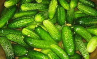 How to prepare pickled cucumbers in jars for the winter? We select small cucumbers, clean them of dirt and erase the pimples. Soak the cucumbers in cold water for at least 6 hours.