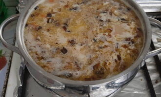 Delicate cheese soup with mushrooms is ready. Try it!