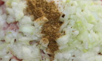 Place the minced meat in a bowl, add chopped onion, salt and spices, mix well.