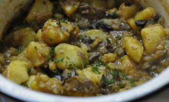 Then add the onions and mushrooms to the potatoes in the pan. Add tomato sauce, bay leaf, and salt to taste. Close the lid and simmer until the potatoes are fully cooked.