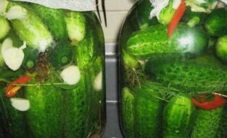 Fill the cucumbers with brine and cover the necks of the jars with gauze. We rearrange the jars into a tray and leave the brine to ferment in a warm place for 2 days.