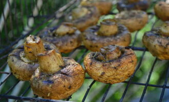 Place the marinated champignons on the grill. Fry the mushrooms for 10-12 minutes until they become soft.