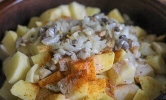 Add the fried potatoes to the potatoes, sprinkle with salt, paprika, ground pepper and garlic granules - mix well and pour in a small amount of cream for juiciness.