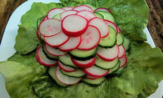 Sliced ​​radishes and cucumbers are laid out in a pyramid and layered on top of the lettuce leaves.